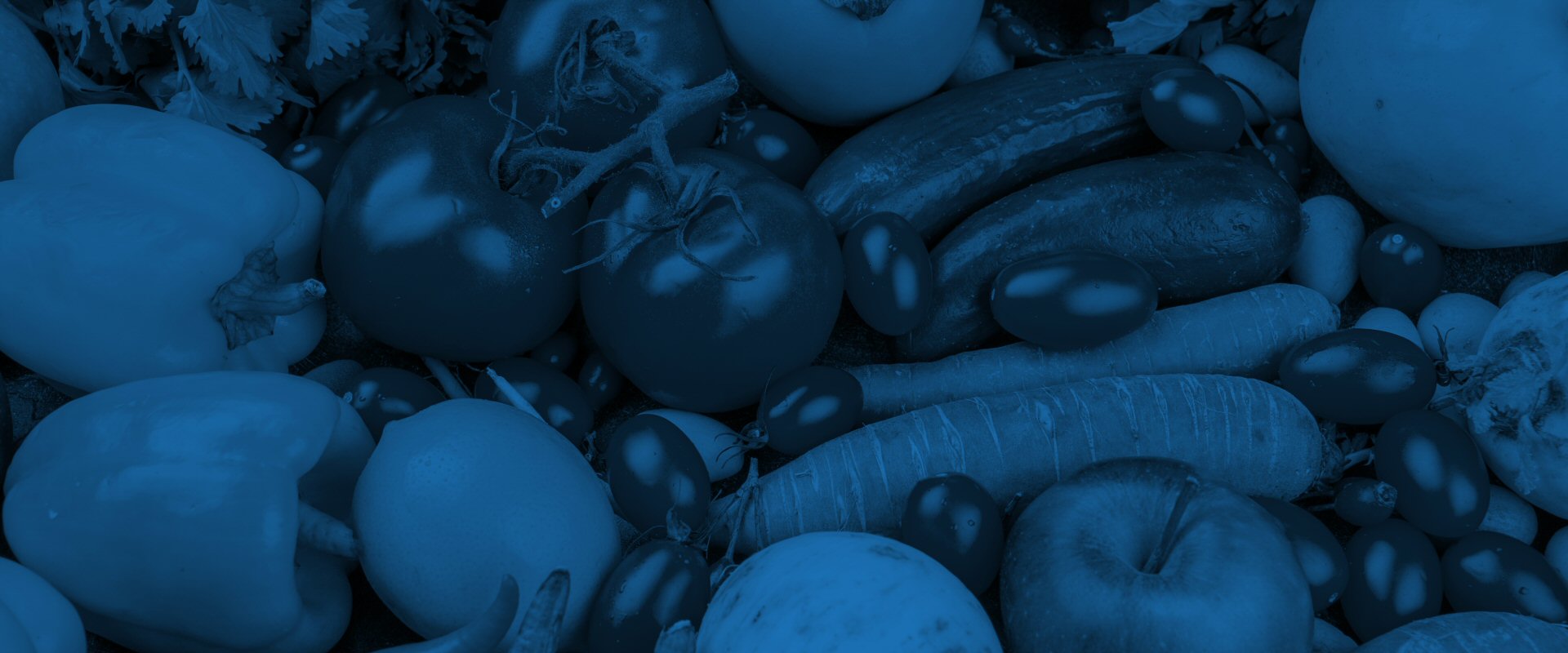 McEntire Produce continues growing Richland County operations I77